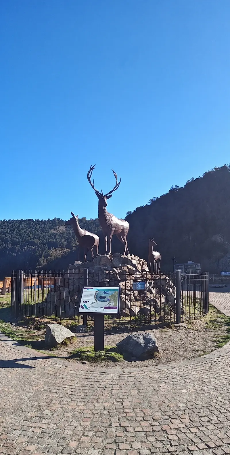 San Martin de los Andes