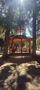 San Martin de los Andes