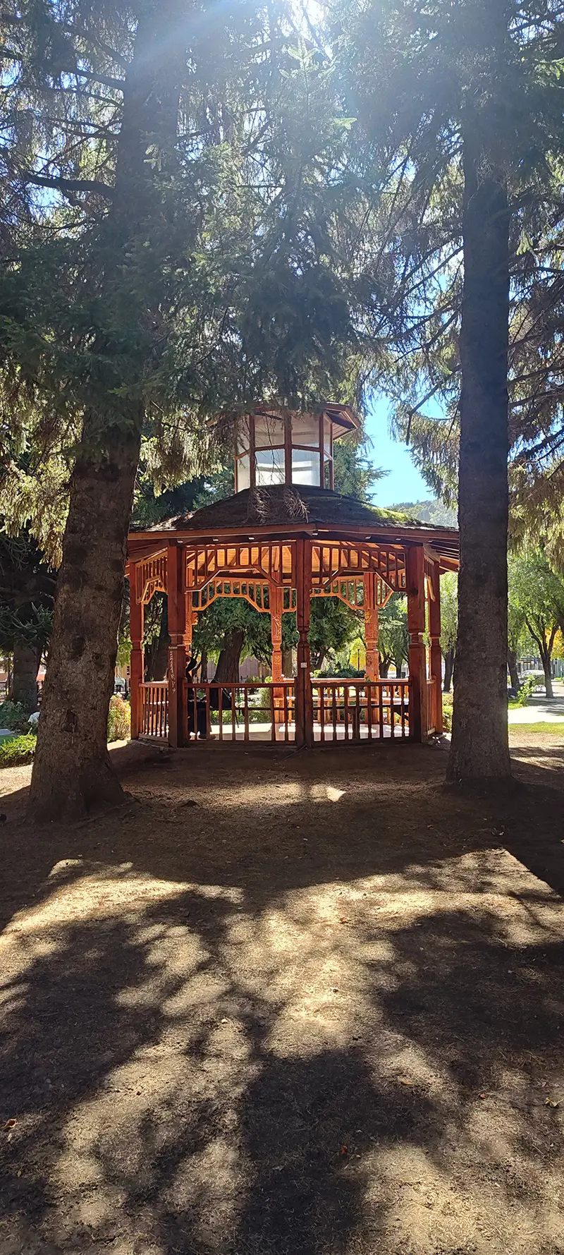 San Martin de los Andes