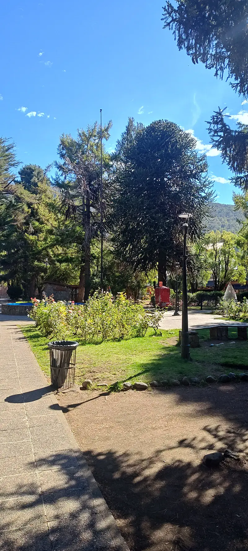San Martin de los Andes