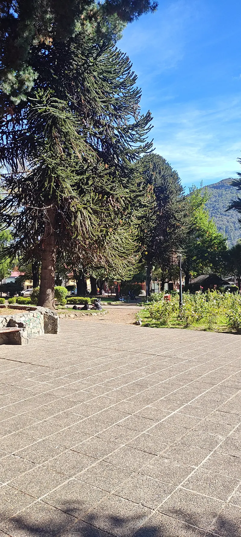 San Martin de los Andes