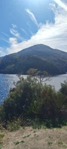 San Martin de los Andes
