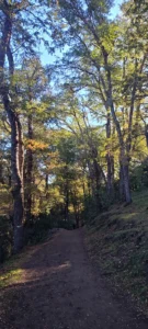San Martin de los Andes
