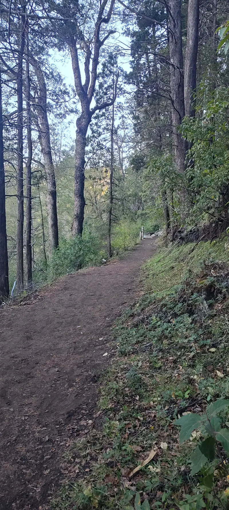 San Martin de los Andes