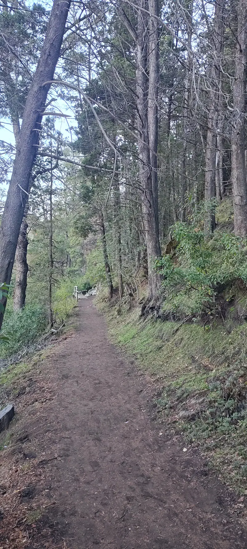 San Martin de los Andes