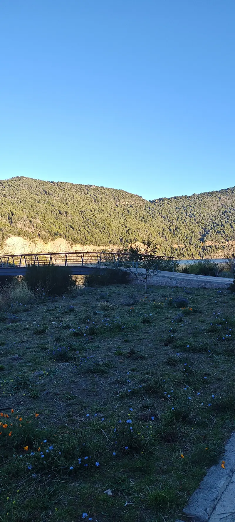 San Martin de los Andes