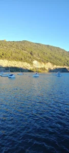San Martin de los Andes