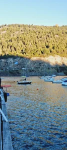 San Martin de los Andes