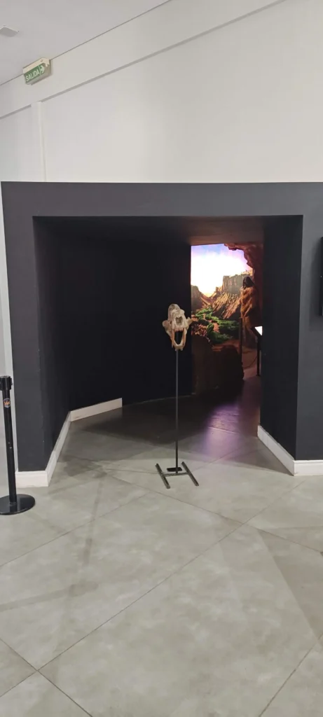 Cráneo fósil en pedestal en el área de exhibición del Museo Paleontológico Egidio Feruglio MEF